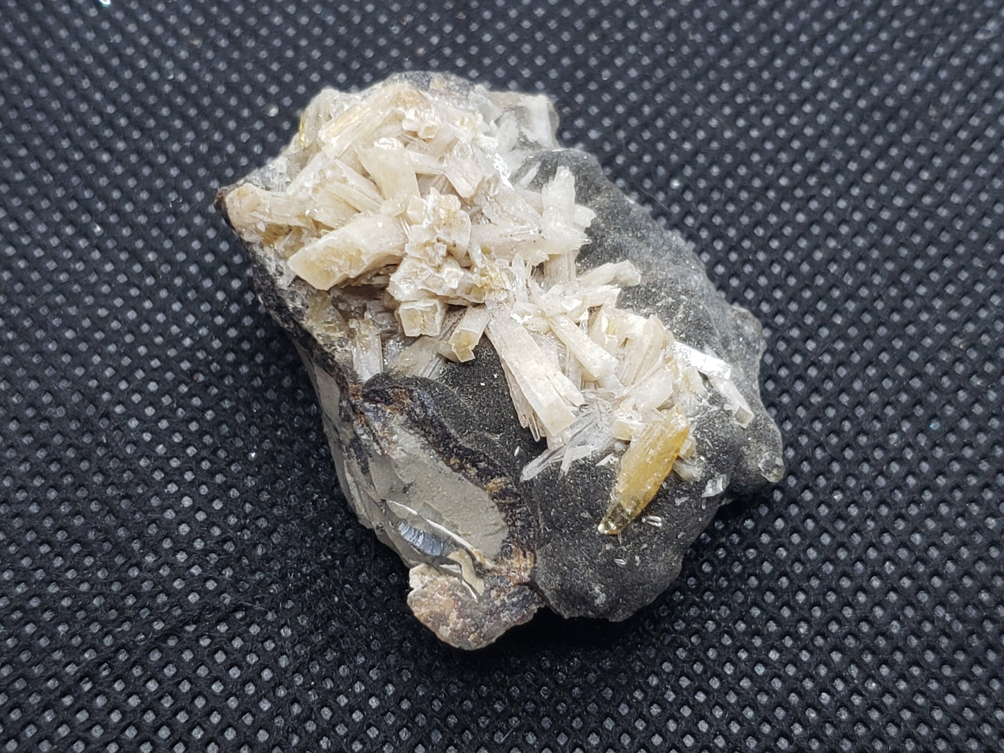 Barite specimen (Elk Creek )