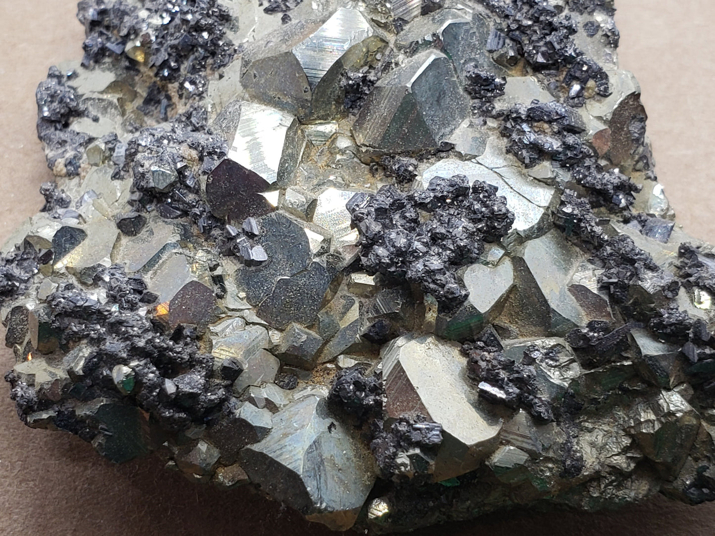 Enargite w pyrite cluster