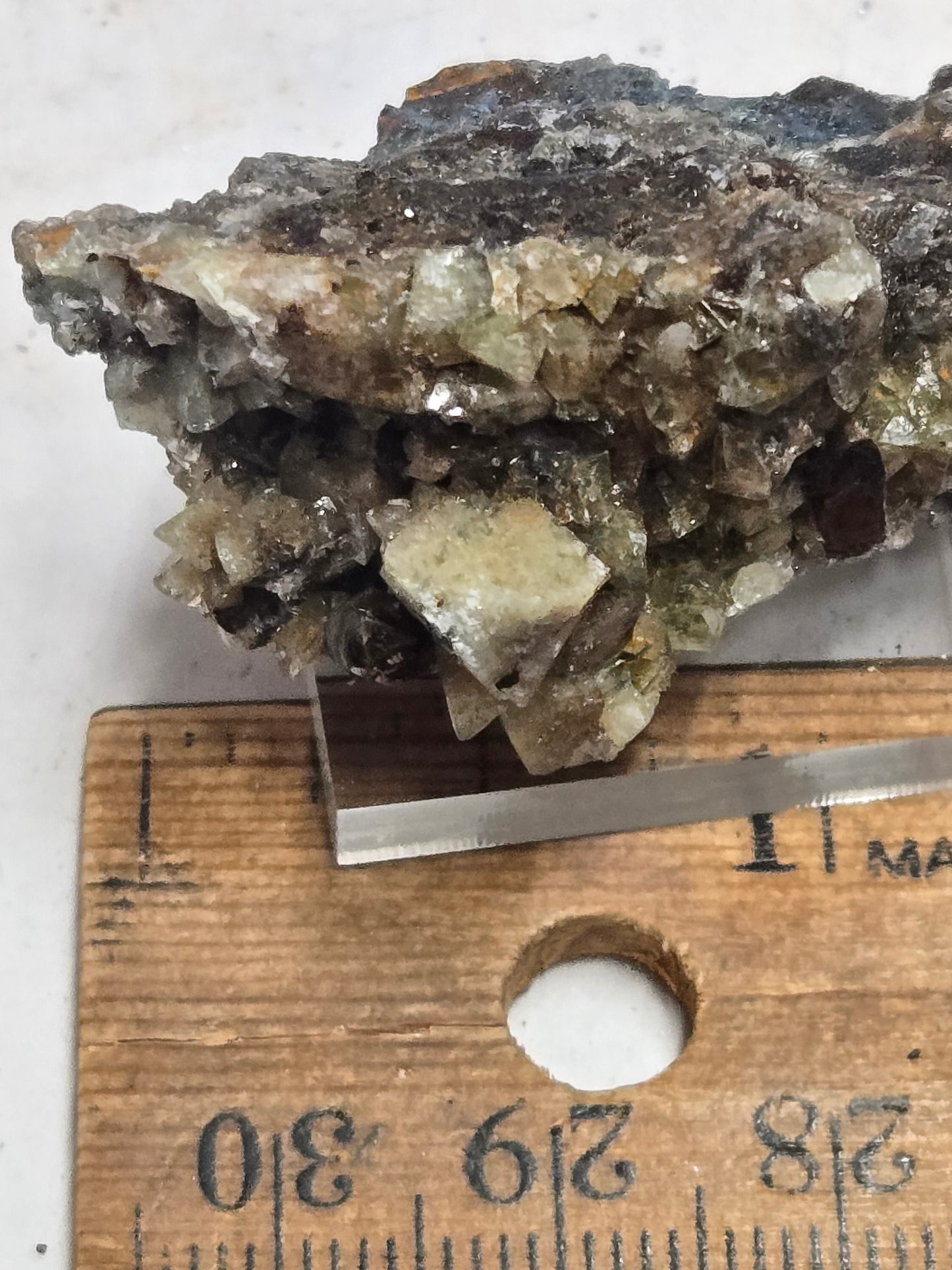 Wardite in matrix