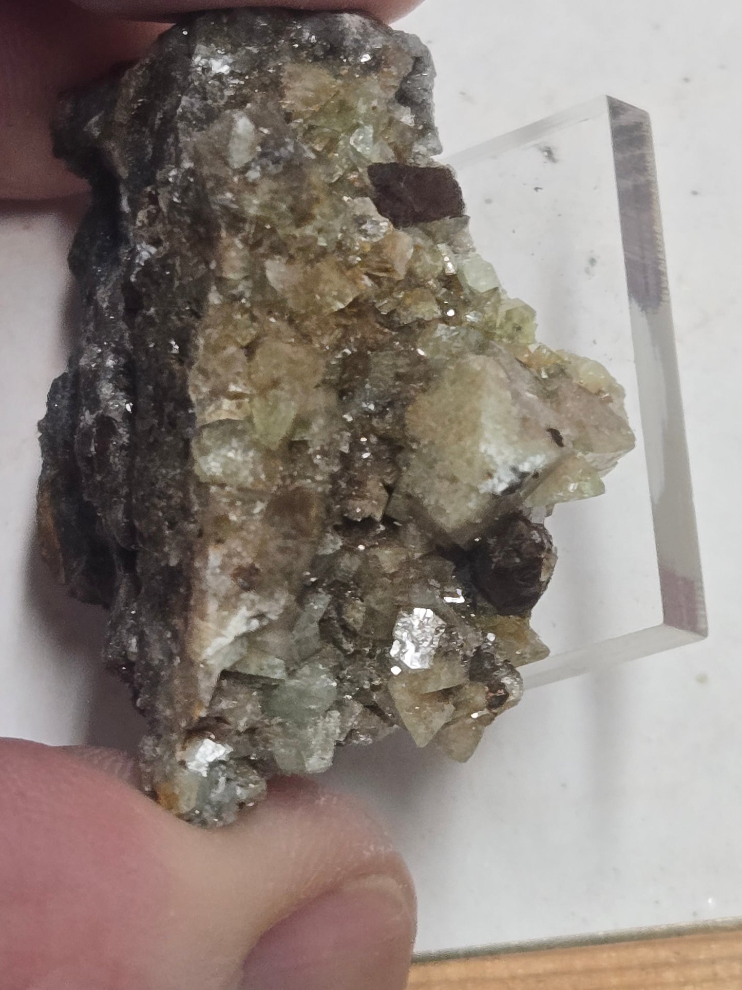 Wardite in matrix