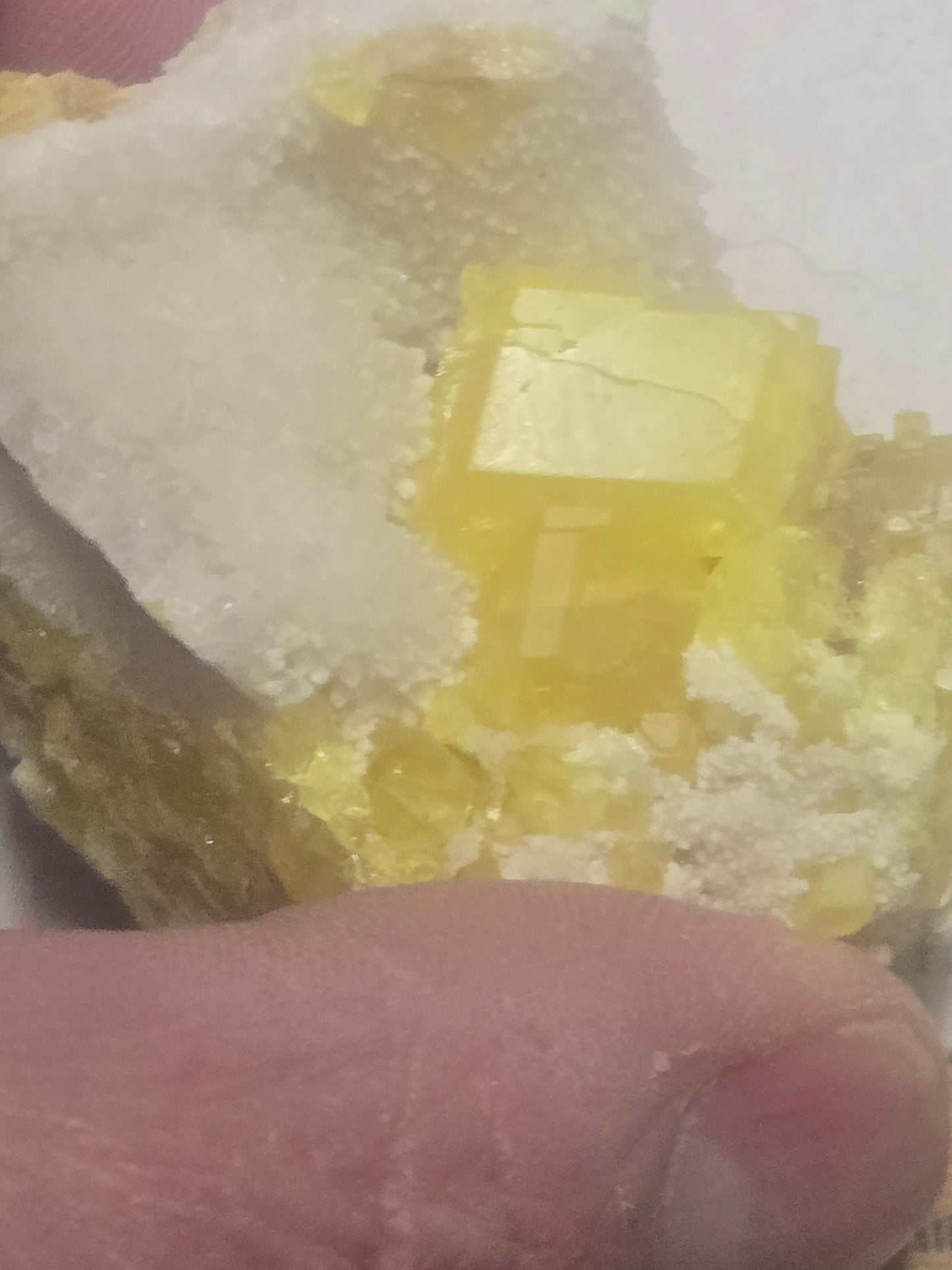 Yellow Sulphur (sulfur) with Celestite