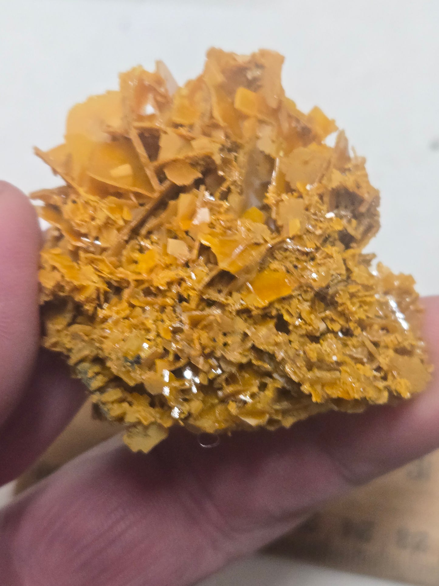 Wulfenite