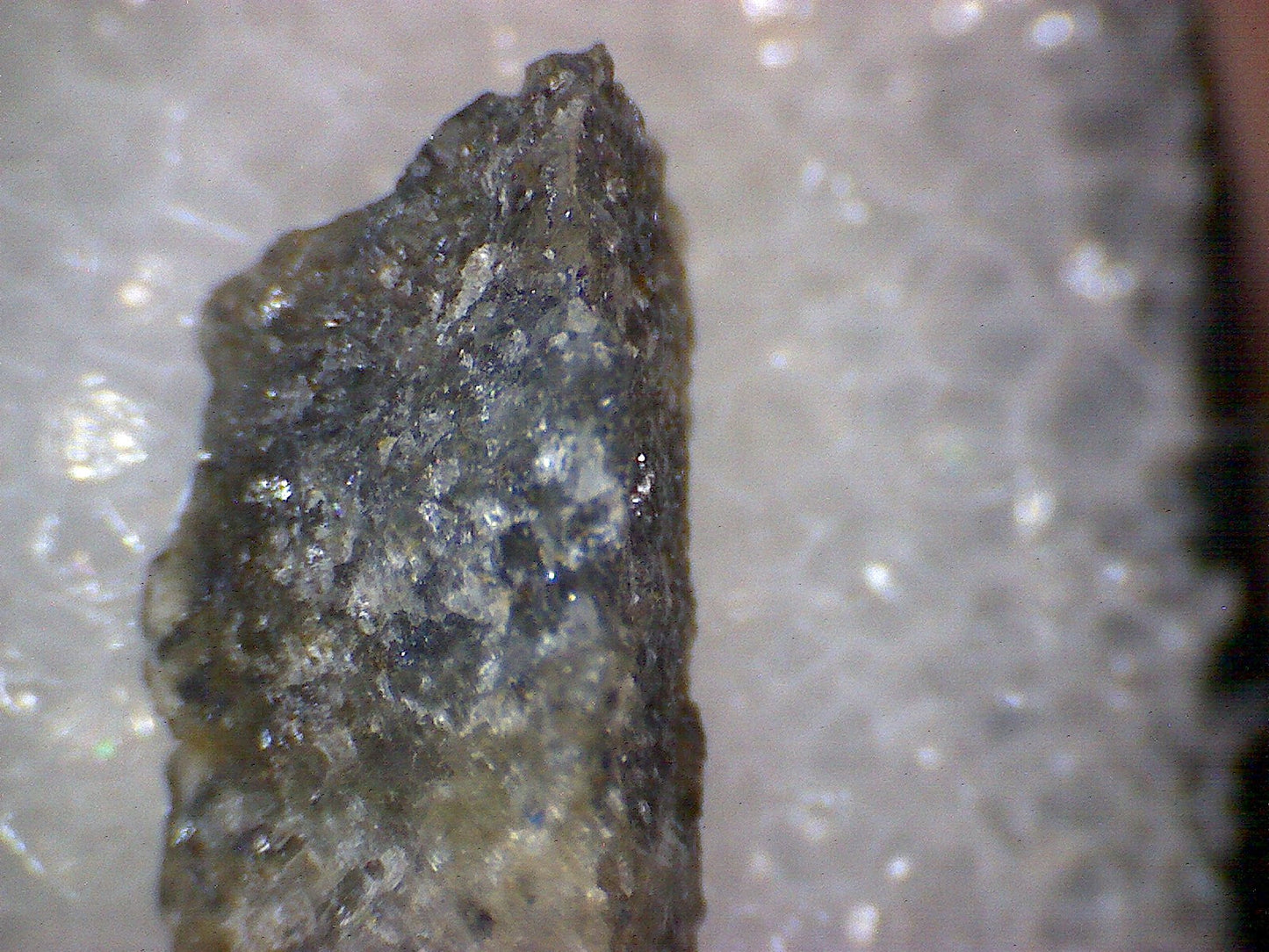 Laitakarite