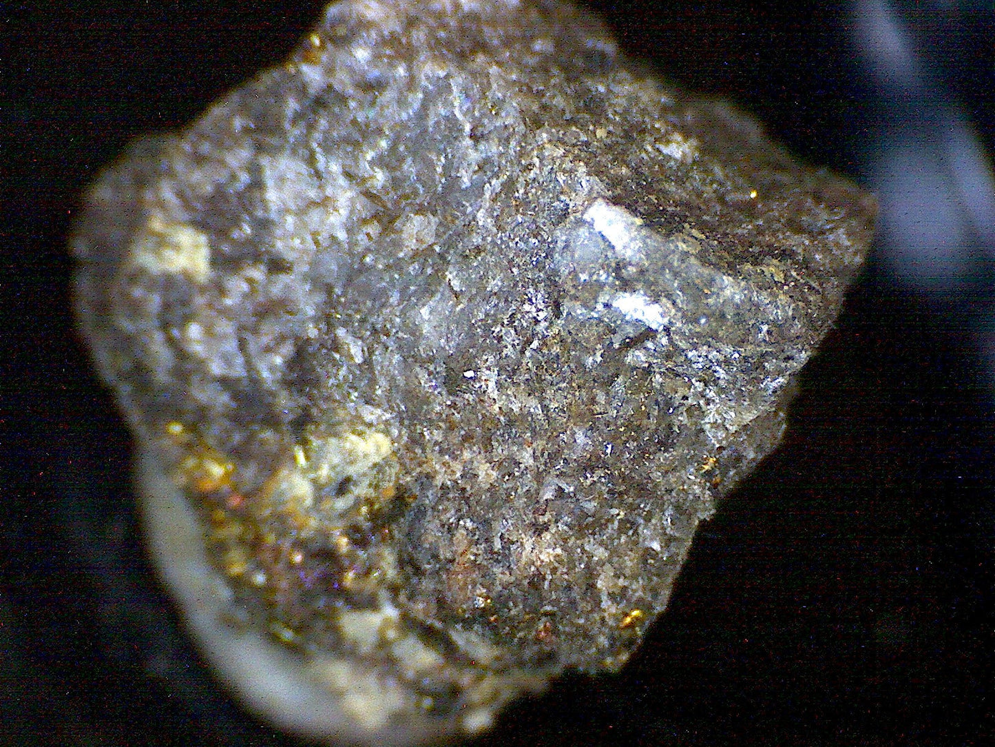 Gustavite