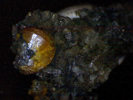 Campylite