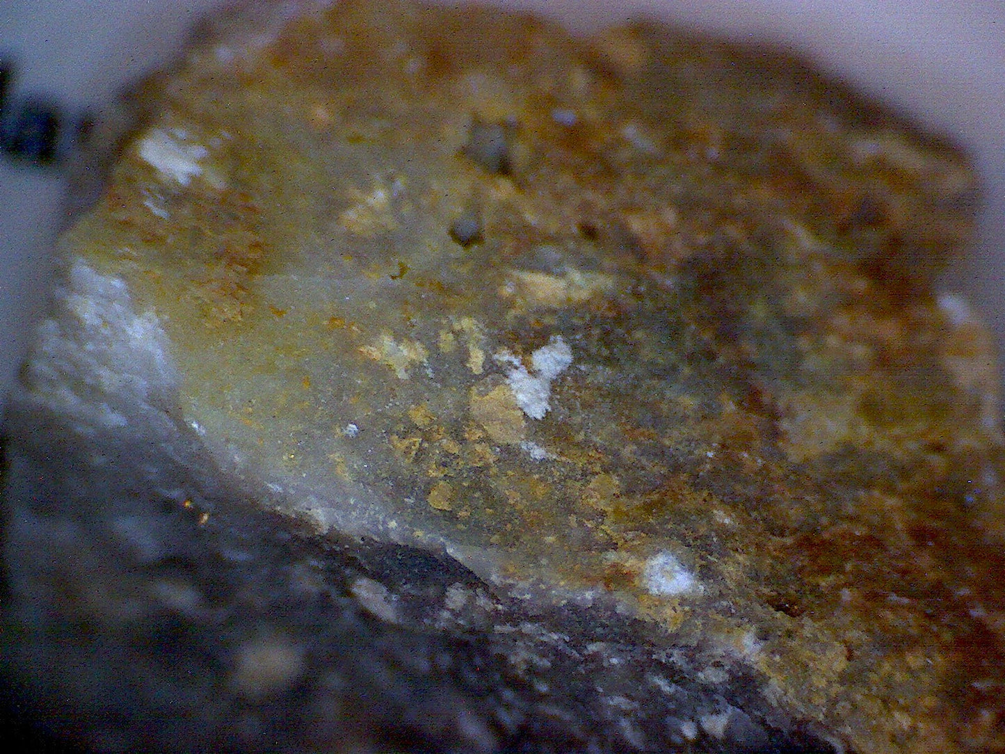 Paratellurite