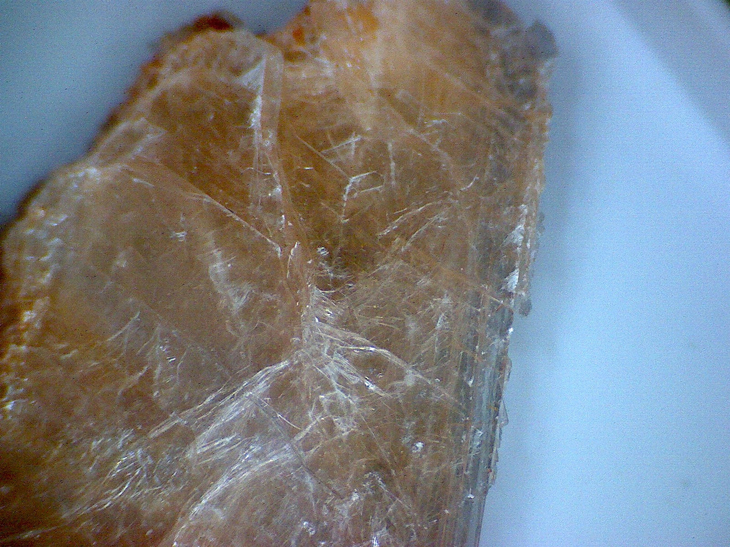 Volkovskite crystal