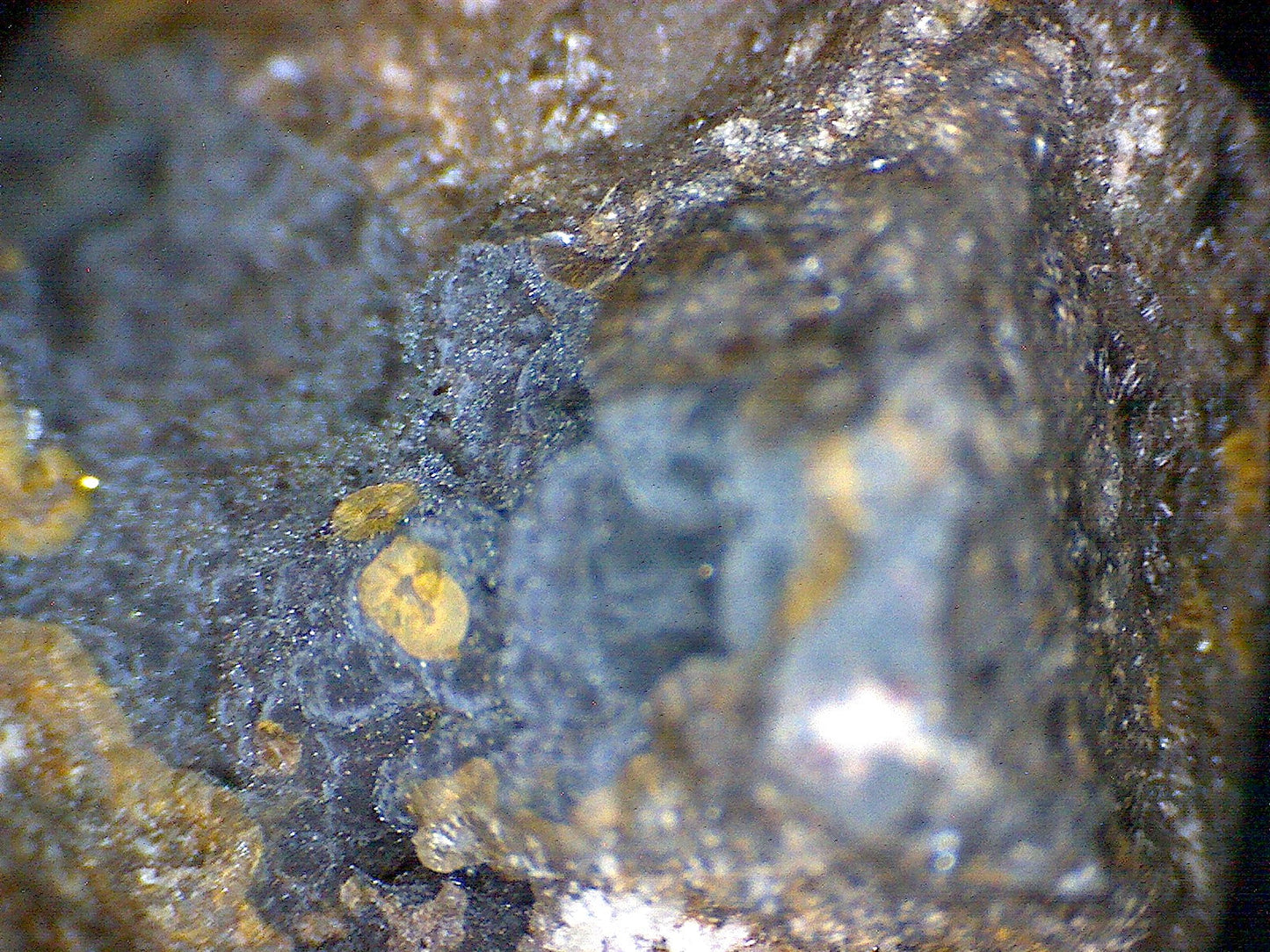 Augite