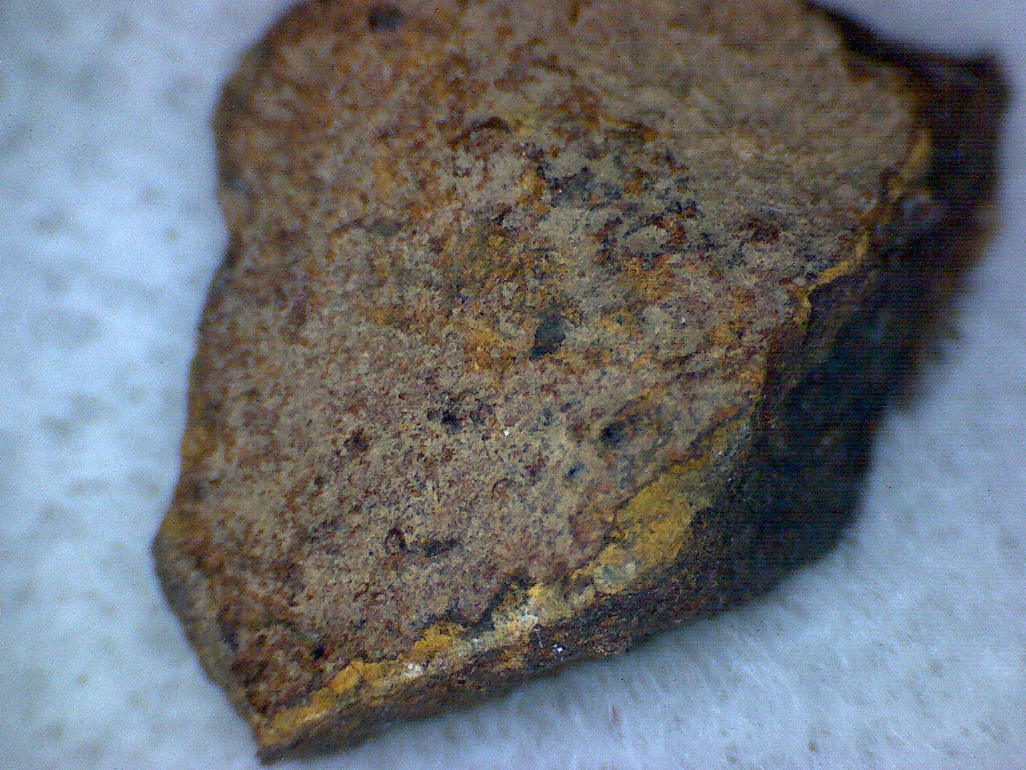 El Boludo meteorite specimen