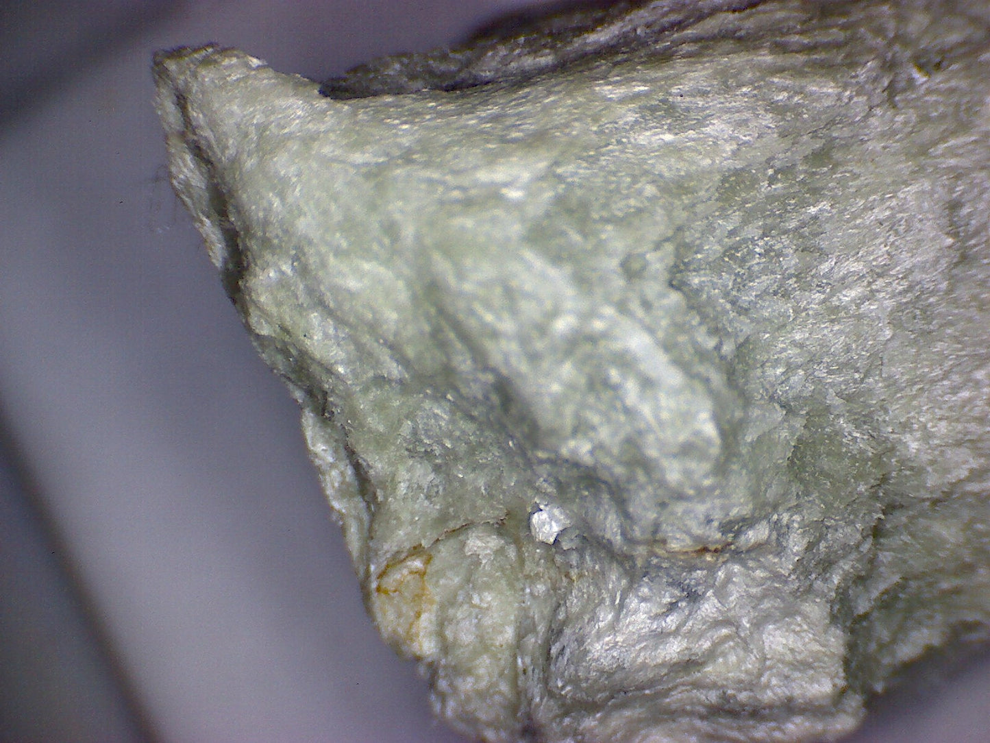 Antigorite