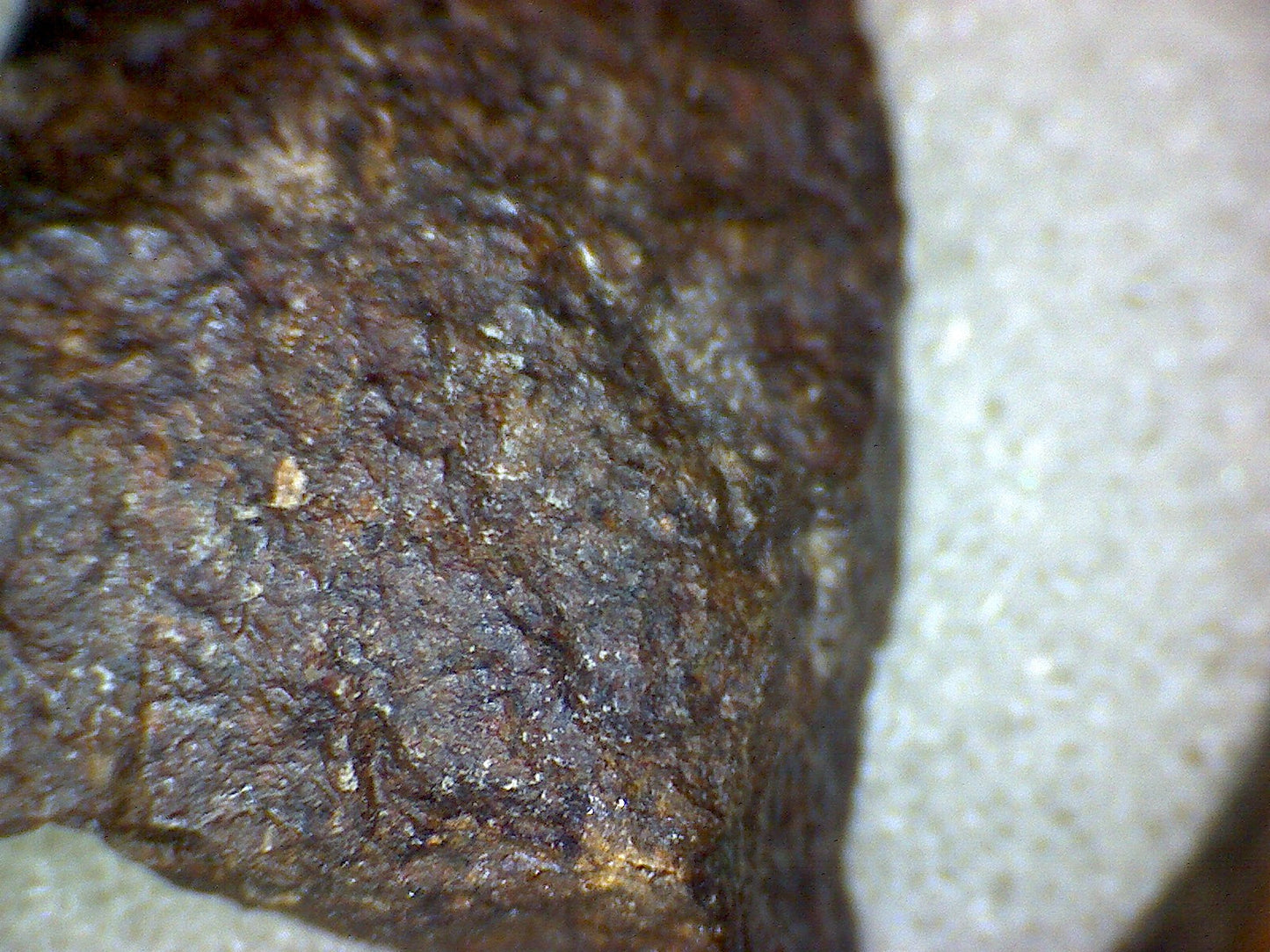 Tungsten Mountain meteorite specimen