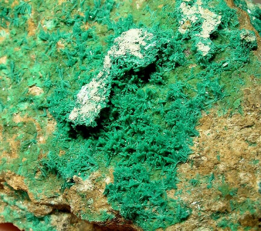 Botallackite specimen