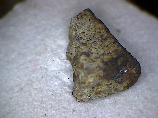 Cerro Cuadrado Meteorite Specimen