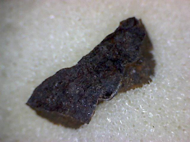 Wagon Mound Meteorite Specimen