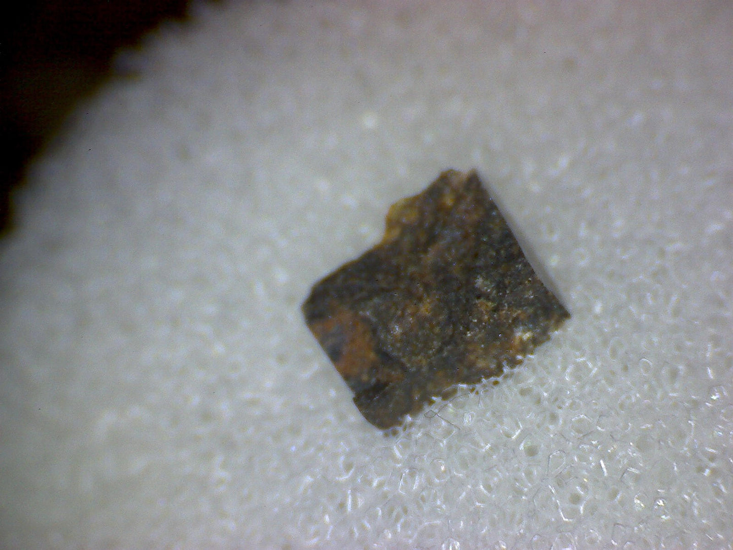 Plainview Meteorite Specimen