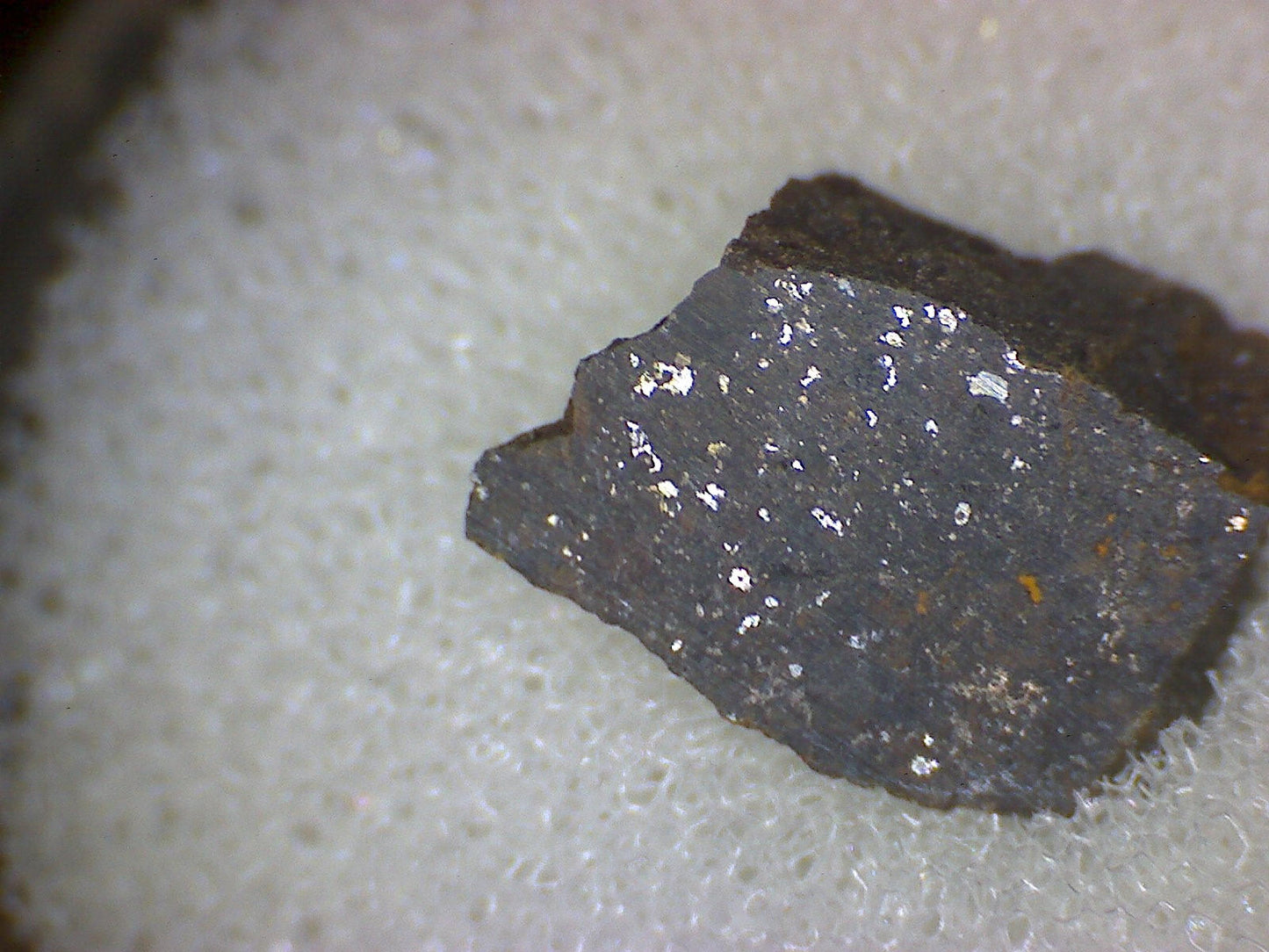 Dimmitt Meteorite Specimen