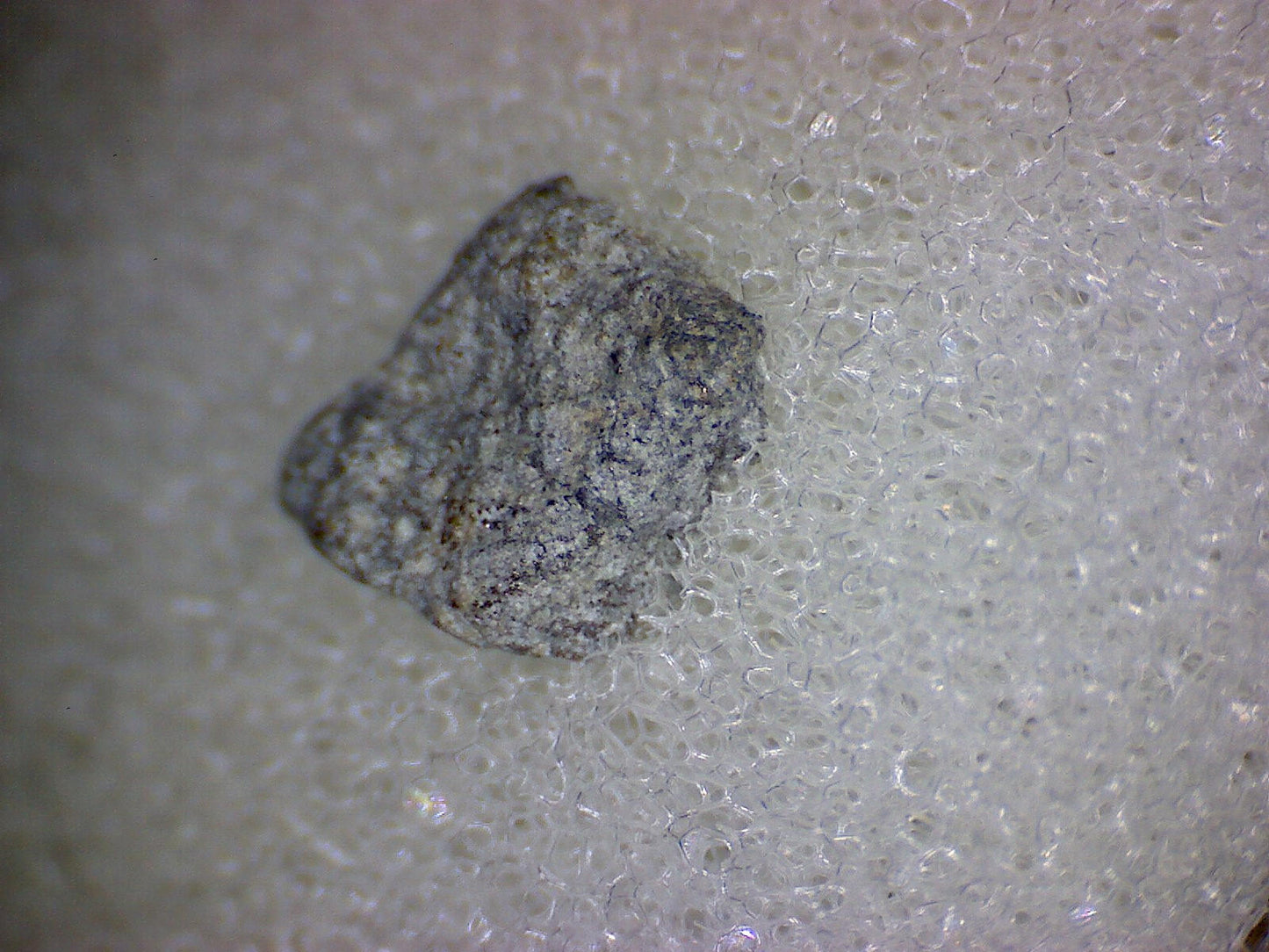 Bensour Meteorite Specimen