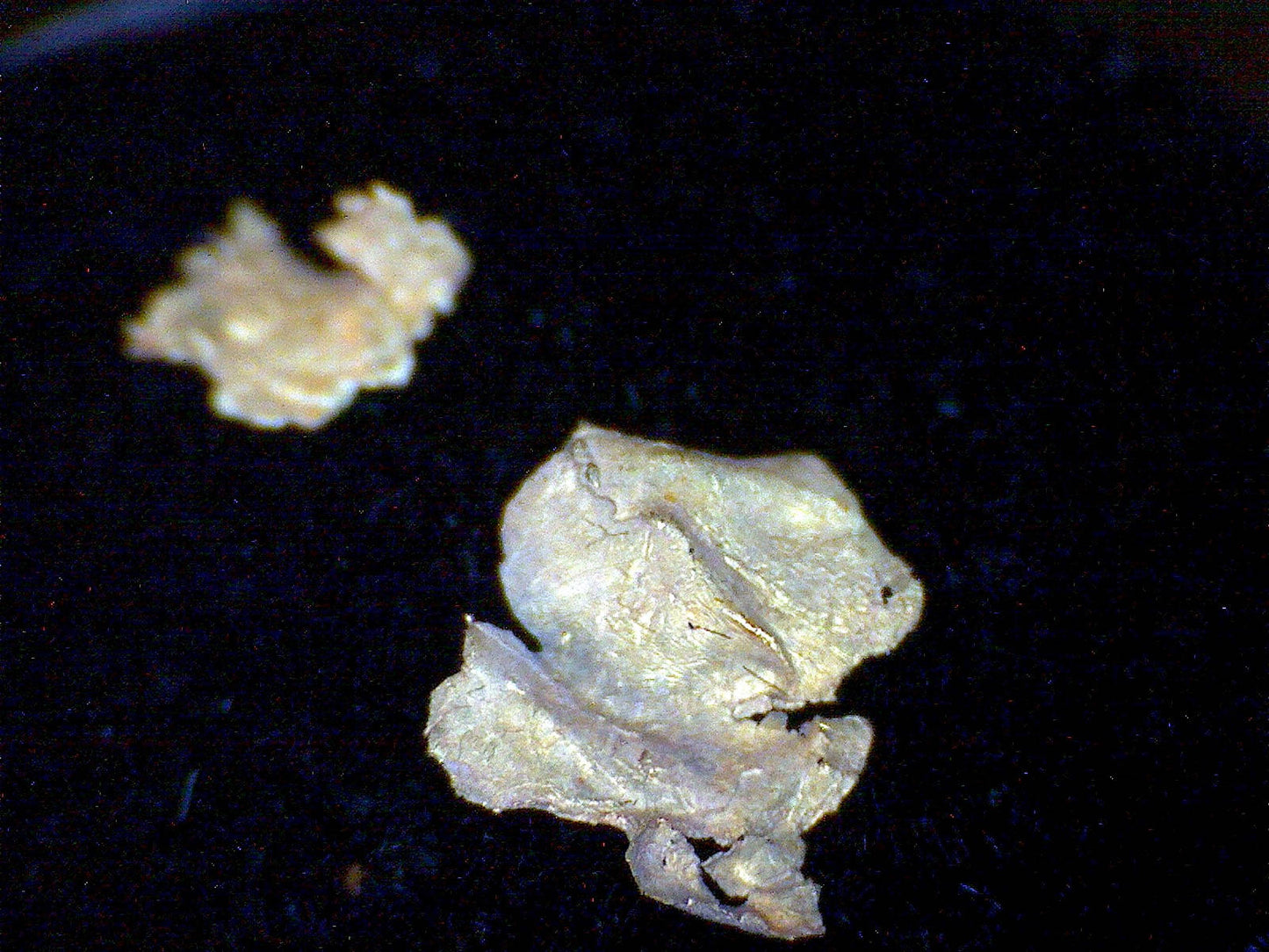 Crystallized Leaf Gold specimen