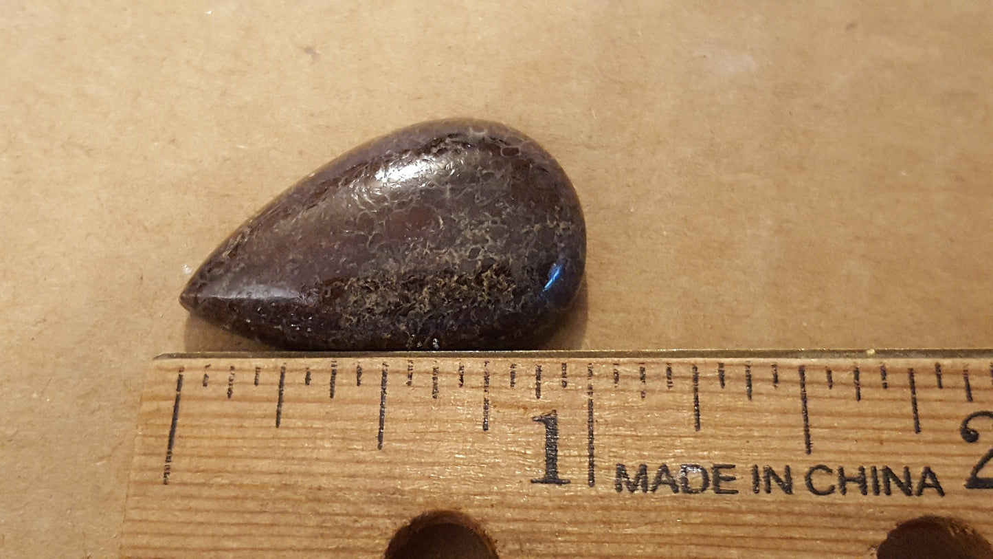 Dinosaur Bone Cabochon