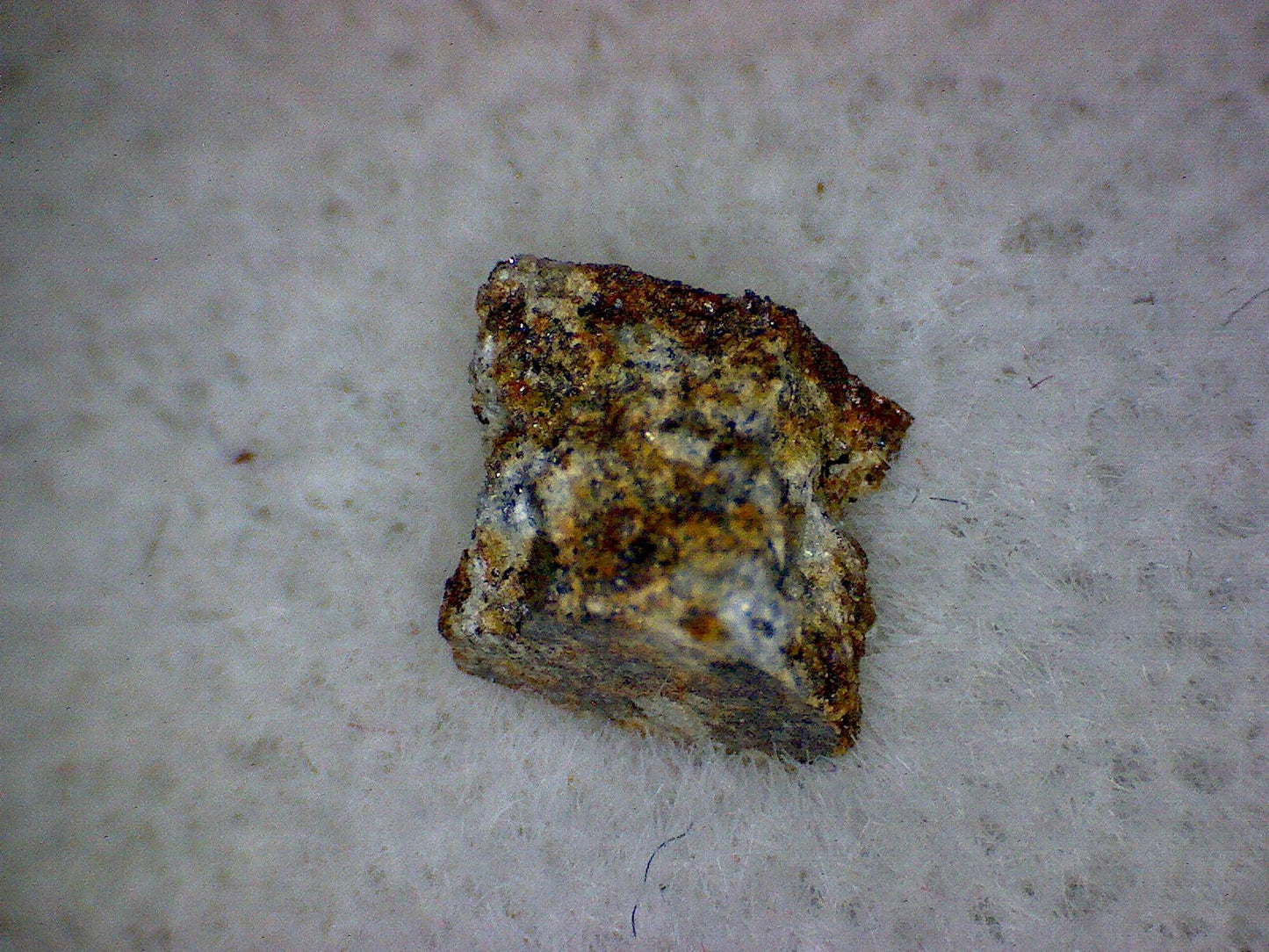 Hyattville meteorite specimen