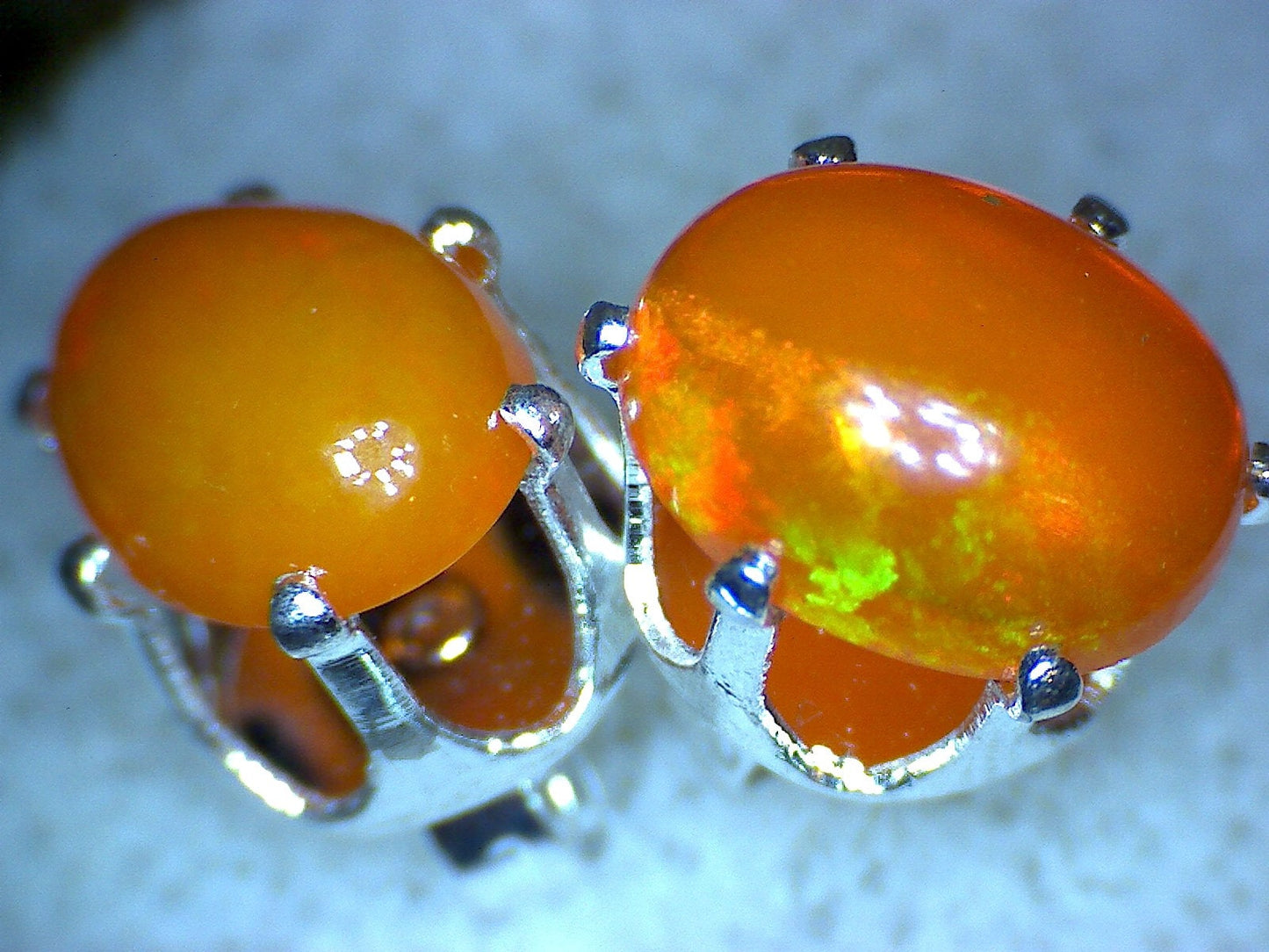 Australian Opal Earrings