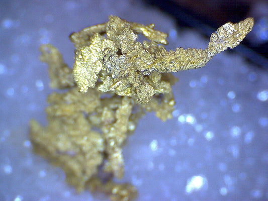 Rare Farncomb Hill Crystallized Gold specimen