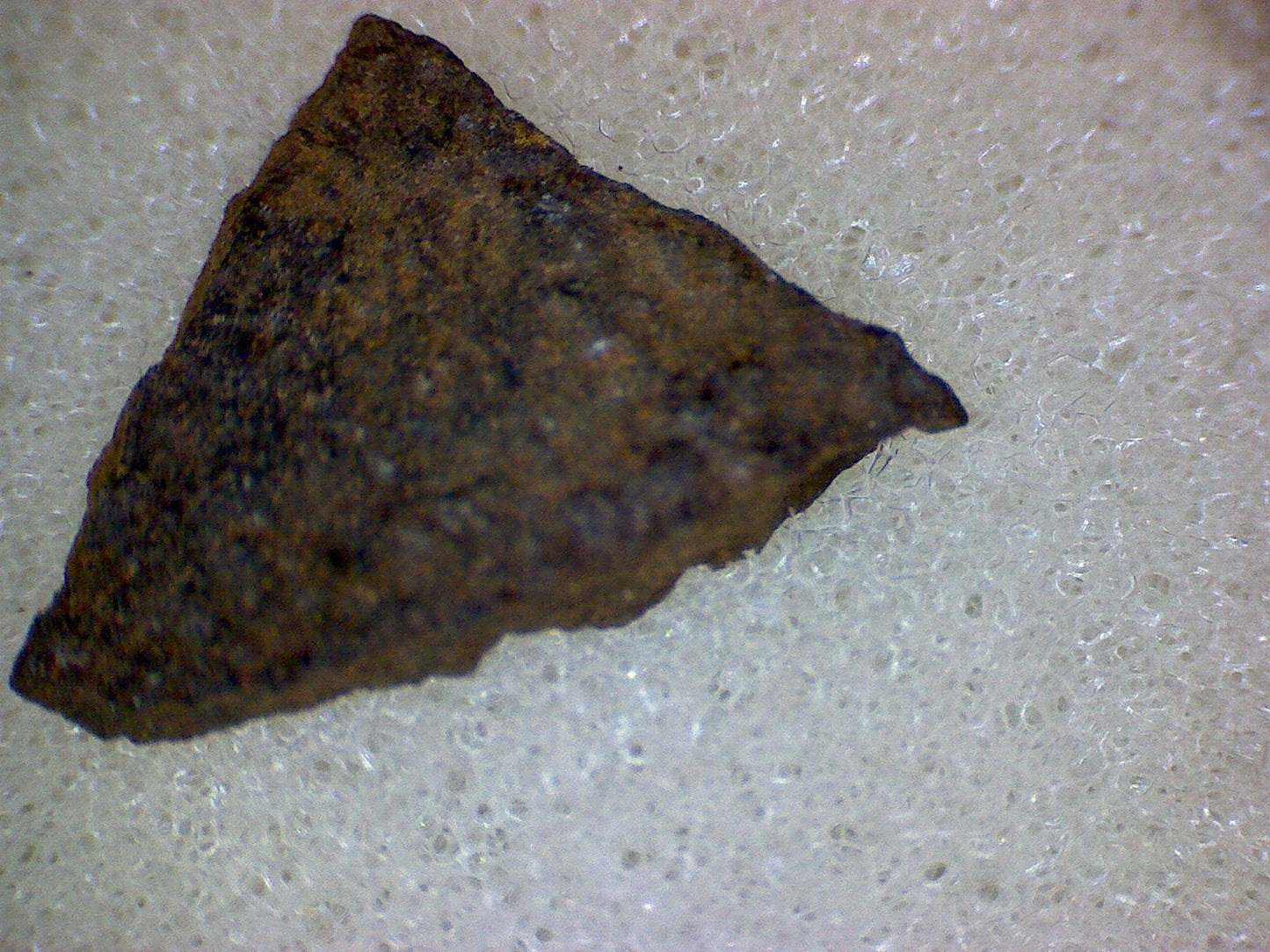 Forestburg Meteorite Specimen