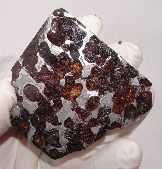 Sericho Pallasite endcut