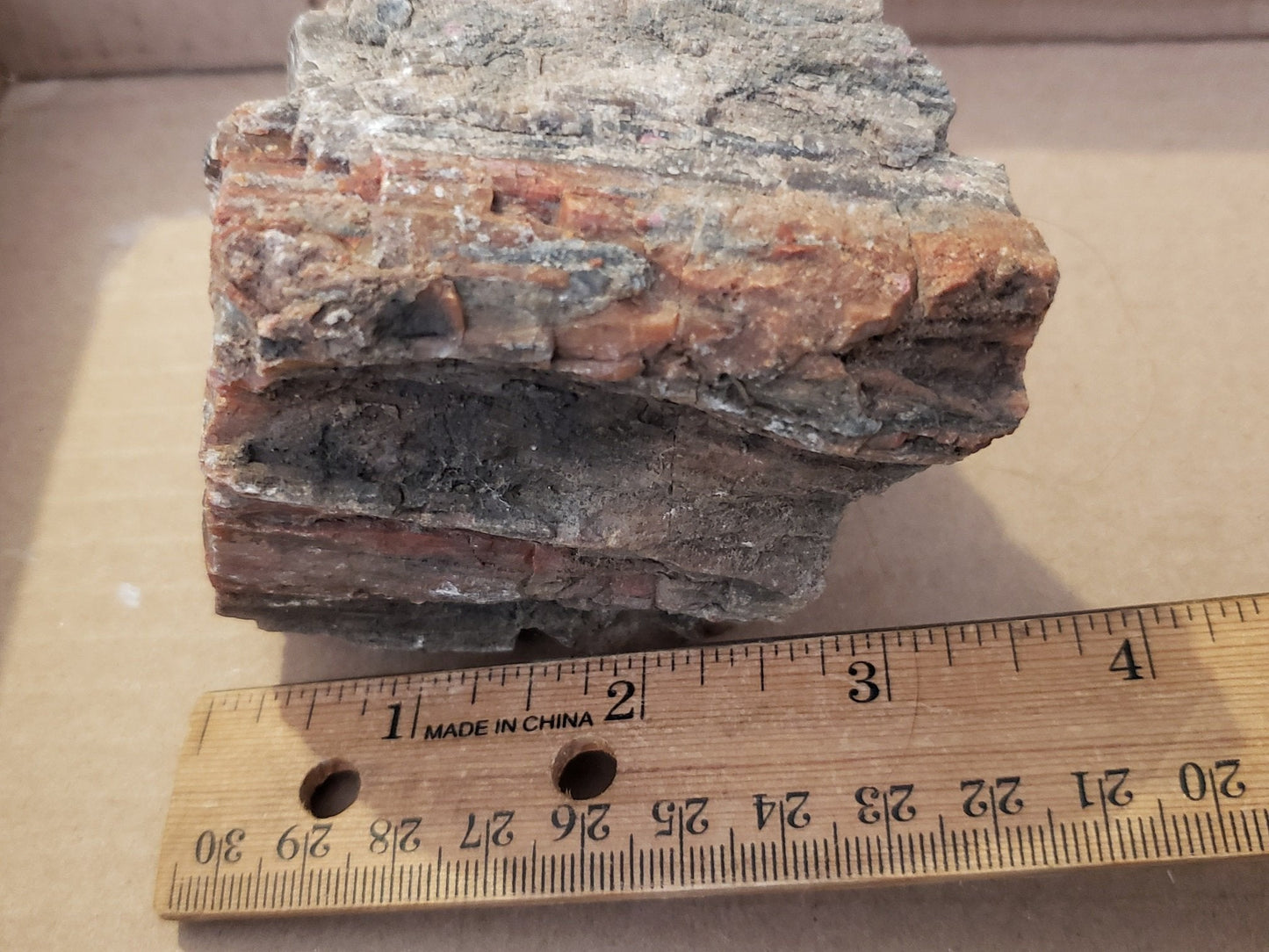 Red Petrified Wood specimen