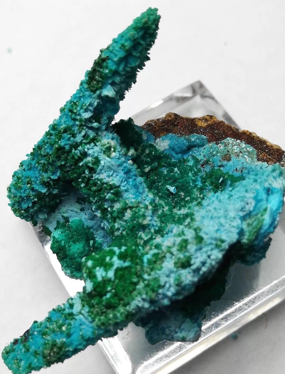 Chrysocolla malachite pseudo Azurite specimen