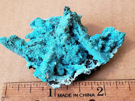 Chrysocolla pseudo Azurite specimen