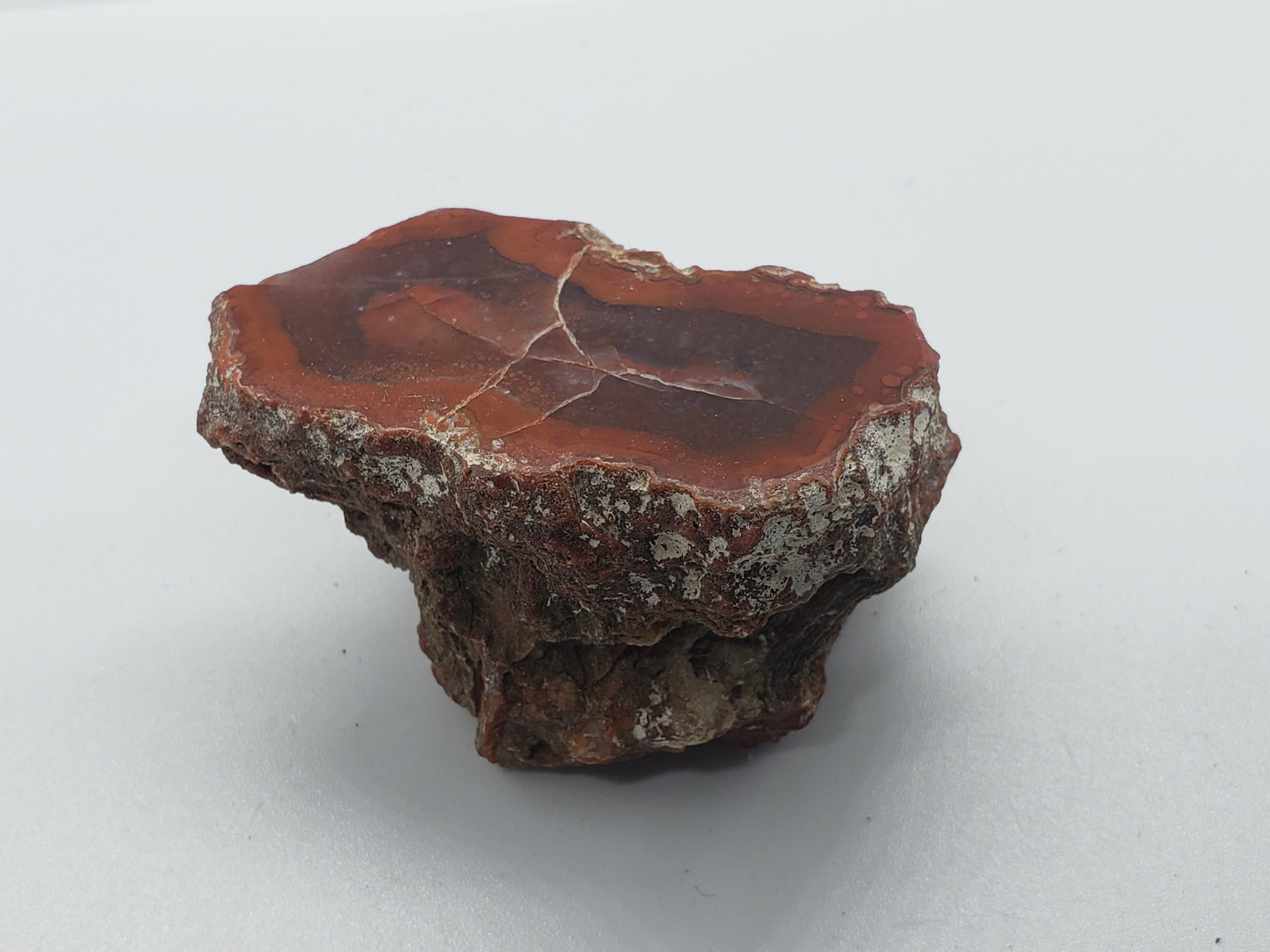 Yellowcat Red Agate specimen