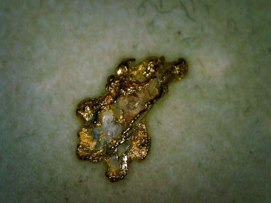 Alaskan Gold Nugget specimen