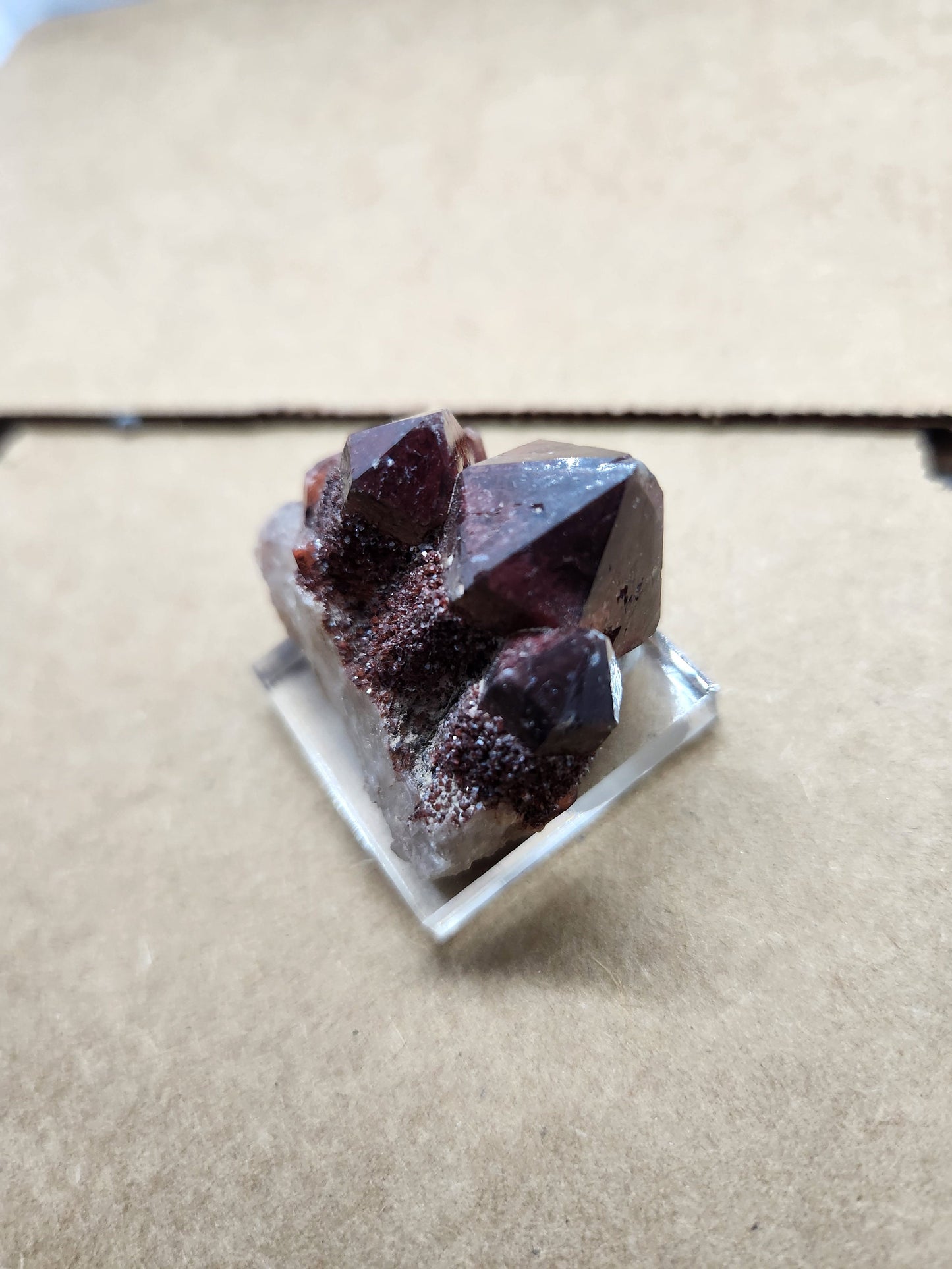 Red Feather Lakes Smoky Quartz Specimen