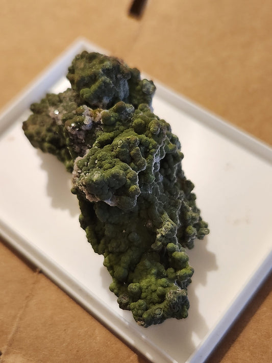 Green Mottramite mineral specimen