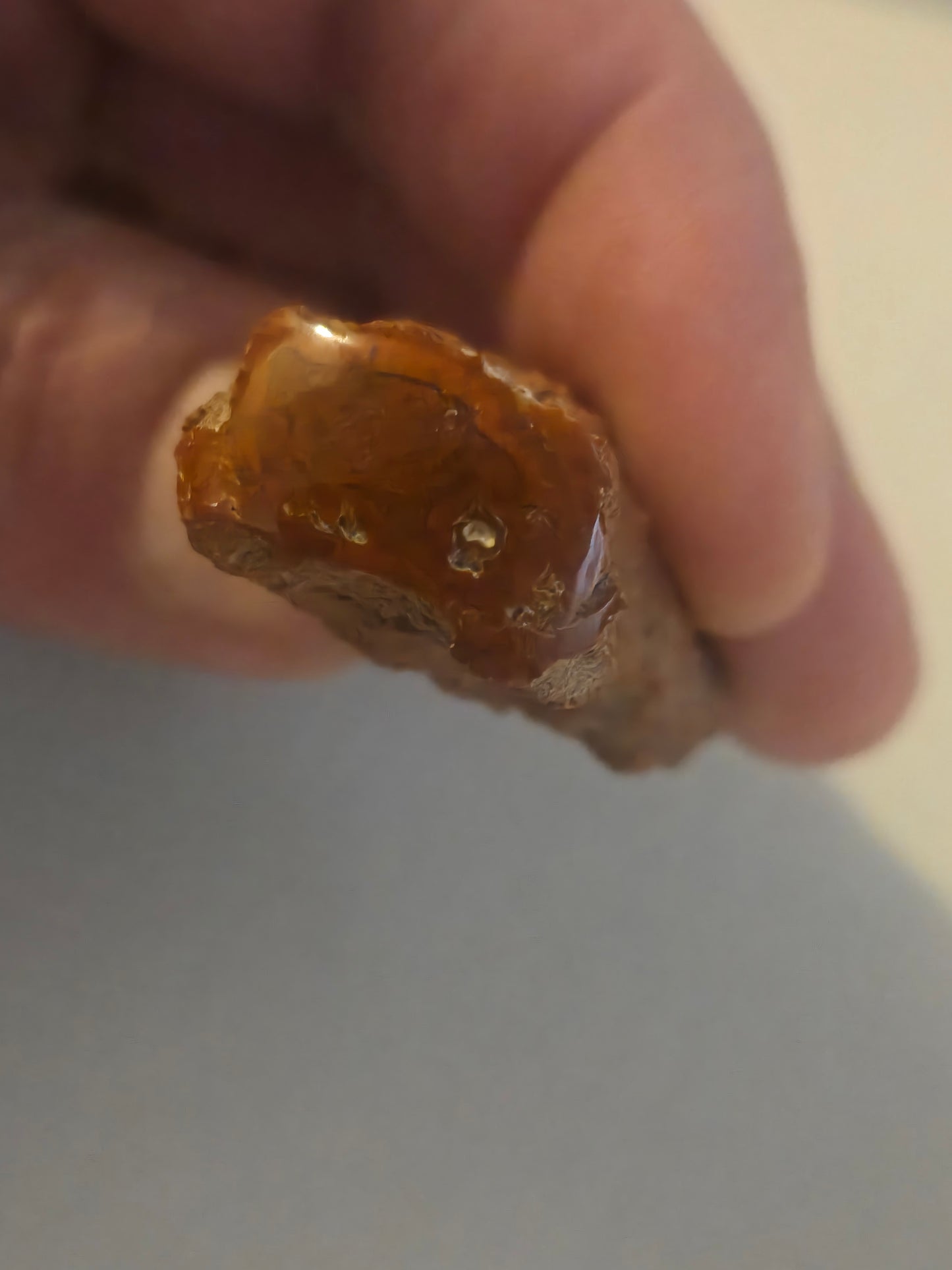 Yellowcat Red Agate Limbcast specimen